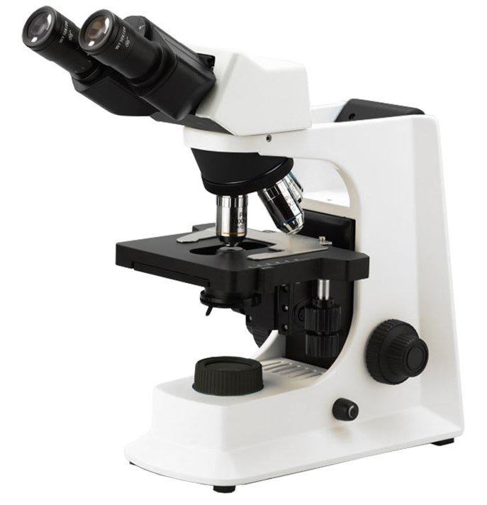 A12.2601 — Microscopio de laboratorio